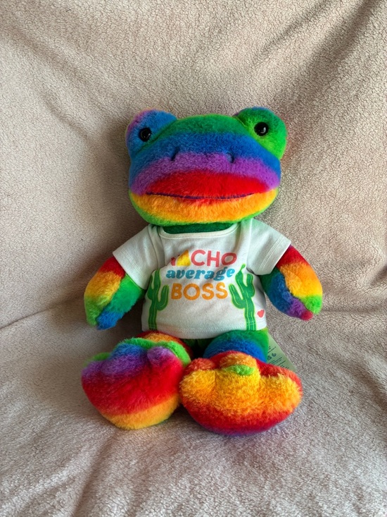 Build-A-Bear Other - Build a Bear Rainbow Pride Frog Stuffed Plush
